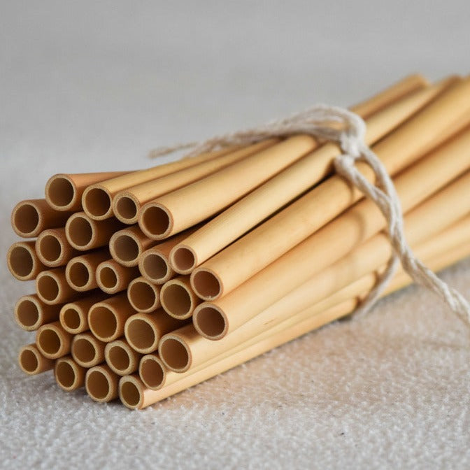 Bamboe Rietjes + Cleaner (6-delig)