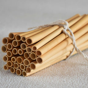 Bamboo Straws + Cleaner (6-piece)